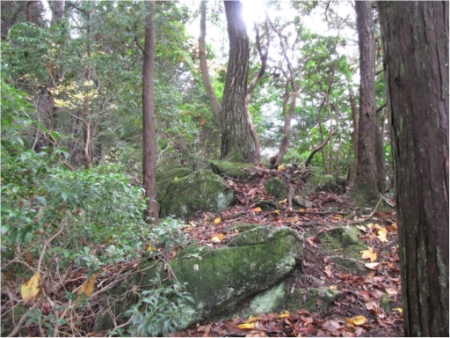 画像13